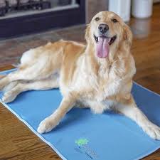 Evapet Cooling Mat